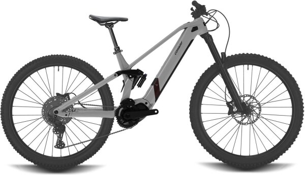eWME 2.0 Full Suspension (Full Suspension 29" 44 cm - alu raw matt)