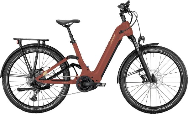 Cairon C FS 2.0 Wave (Wave 27" 50 cm - rustred)