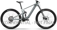 PATH RIOT CF/LC Advanced (29" 46,5cm - grey 1/pearl...