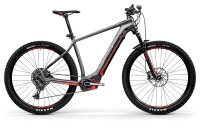 Backfire E R860i (Diamant 29" M/L / (50) - anthrazit)