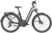 E-Ville Edition (54 cm - shiny flaky silver)