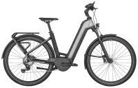 E-Ville Edition (54 cm - shiny flaky silver)