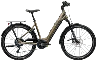 Country R2600i (Tiefeinsteiger 27.5" XL (58) - dunkelbronze)